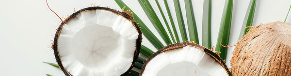 Benefits Of Coconut Oil For Skin